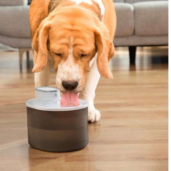 KittySpout Fuente Inteligente